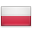 shiny country icon