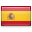 shiny country icon