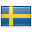 shiny country icon