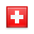 shiny country icon